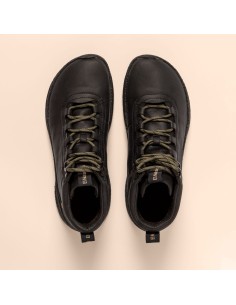 copy of Naturalista  N5620 GORBEA