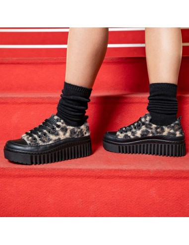 Zapato Mujer BRIGHTON 1518S - Art...