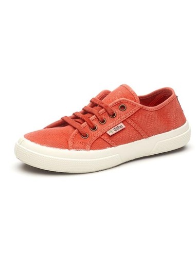 natural world BASKET 901