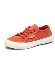 natural world BASKET 901