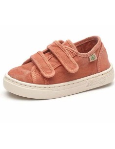 natural world DOBLE SCRACTCH 6471