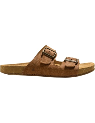 El Naturalista N5794  Balance