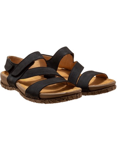 El Naturalista N5860 Tabernas