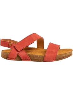 El Naturalista N5791  Balance