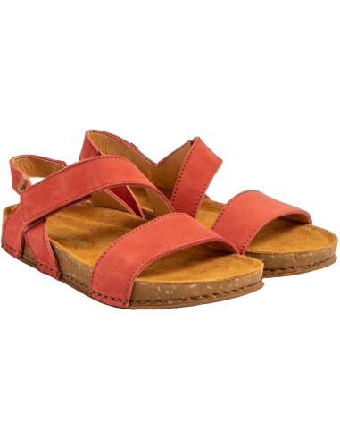 El Naturalista N5791  Balance