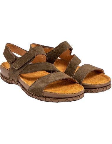 El Naturalista N5860 Tabernas