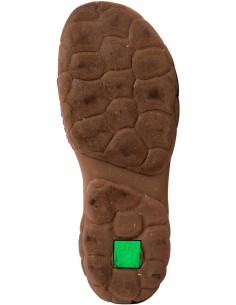 copy of El Naturalista N5089 TURTLE