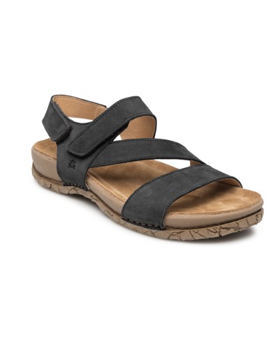 El Naturalista N5860 Tabernas