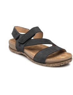 El Naturalista N5860 Tabernas