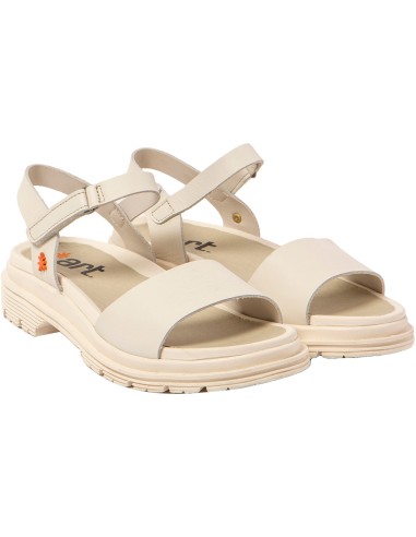 1548 Brighton Art Company