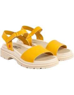 1548 Brighton Art Company