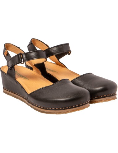 N5850 PICUAL, El Naturalista