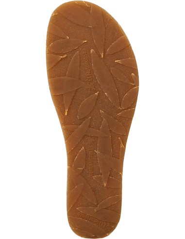 N5850 PICUAL, El Naturalista