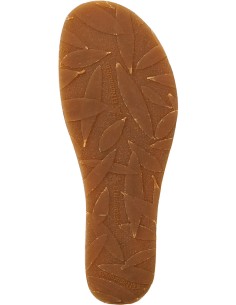 N5850 PICUAL, El Naturalista