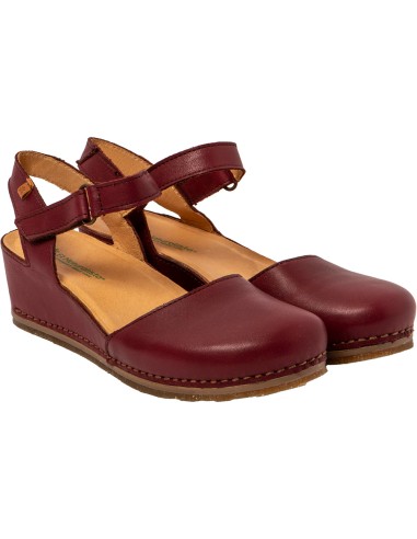 N5850 PICUAL, El Naturalista