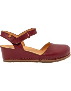 N5850 PICUAL, El Naturalista