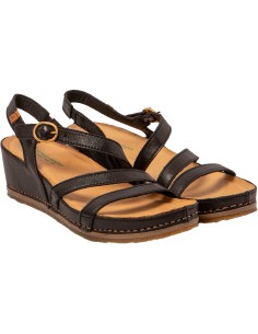 N5855 PICUAL, El Naturalista