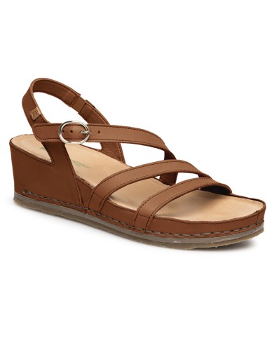 N5855 PICUAL, El Naturalista