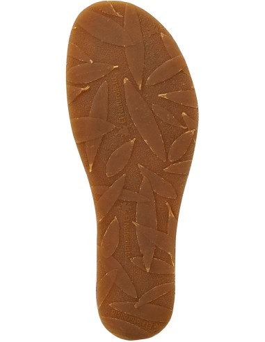 N5855 PICUAL, El Naturalista