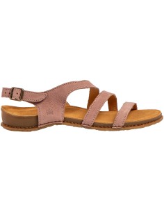 N5811 Panglao, El Naturalista