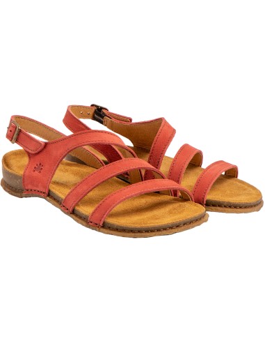 El Naturalista N5811 Panglao