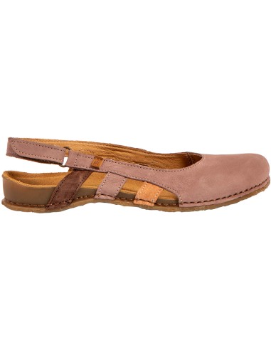 El Naturalista N5817 PANGLAO,...