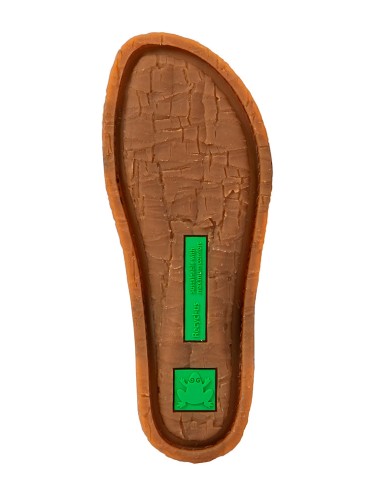 El Naturalista N5817 PANGLAO,...