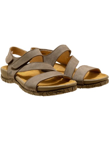 El Naturalista N5860 Tabernas