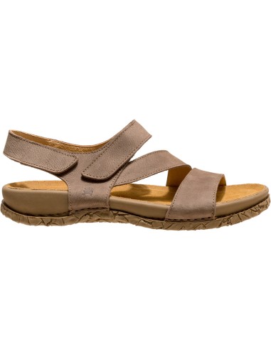 El Naturalista N5860 Tabernas