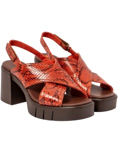 copy of ART COMPANY 1872 I... 2