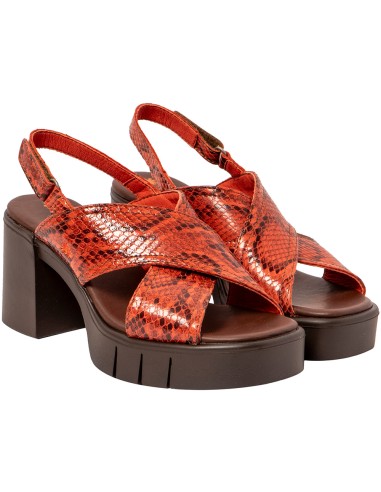 copy of ART COMPANY 1872 I WISH...