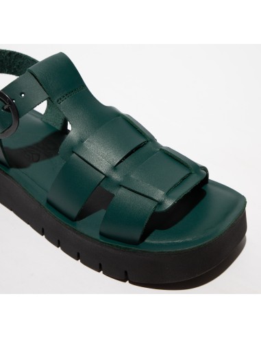 SUDY 246 - Fly London