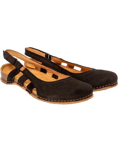 El Naturalista N5817 PANGLAO,...