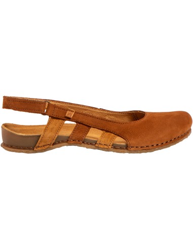 El Naturalista N5817 PANGLAO,...