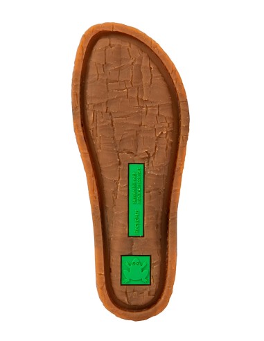 El Naturalista N5817 PANGLAO,...