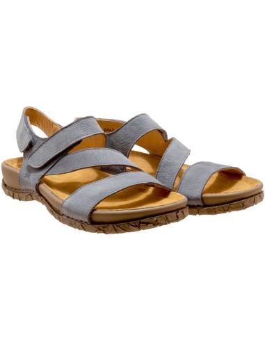 El Naturalista N5860 Tabernas