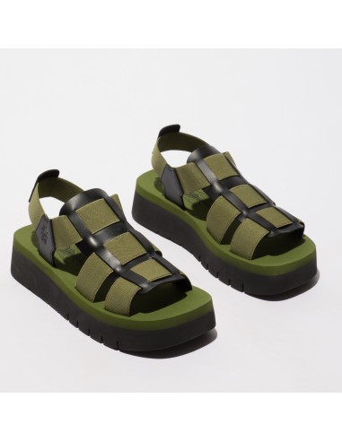 SAMB 245 - Fly London