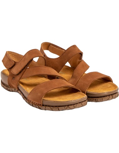 El Naturalista N5860 Tabernas