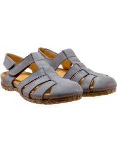 El Naturalista N5862 Tabernas