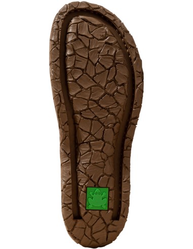 copy of El Naturalista N5860 Tabernas