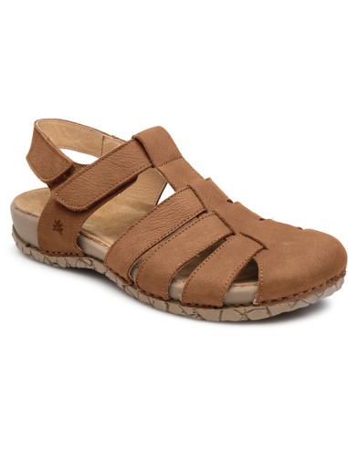 El Naturalista N5862 Tabernas