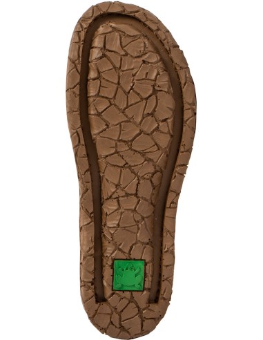 copy of El Naturalista N5860 Tabernas