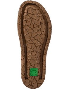 El Naturalista N5862 Tabernas