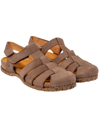 El Naturalista N5862 Tabernas