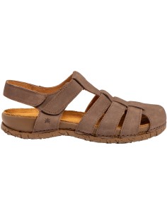 El Naturalista N5862 Tabernas