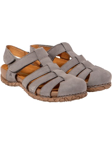 El Naturalista N5862 Tabernas