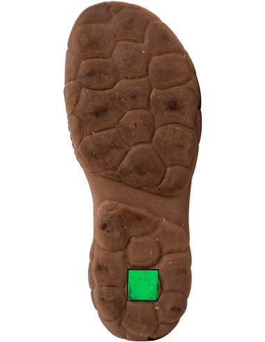 copy of El Naturalista N5089 TURTLE